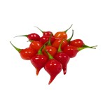 Pimenta de Bico Aroma de Minas 3.2kg